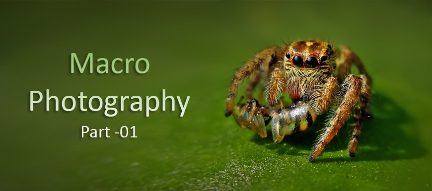 Soqolli bosh qiz porno