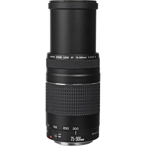 Canon Ef 75 300mm Iii Price In Bangladesh Source Of Product