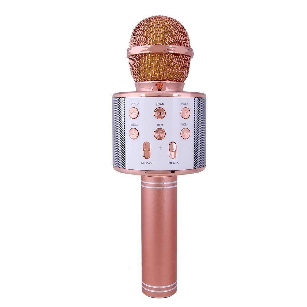 Karaoke WS-858 Microphone Price in Bangladesh — Source Of ...