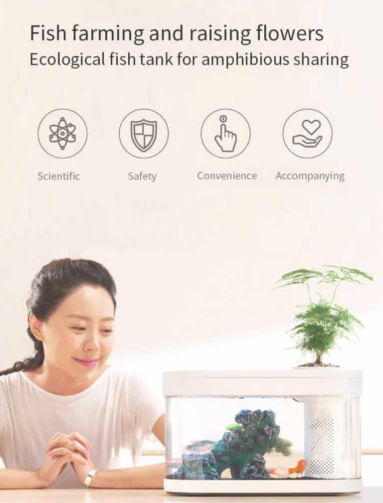 Xiaomi HFJH Geometry Aquarium Small Water Garden Price in